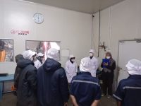PT Lautan Berlian Indah - Probolinggo (12)
